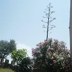 4m Appartamento *