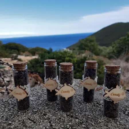 Appartement 4m Čunski