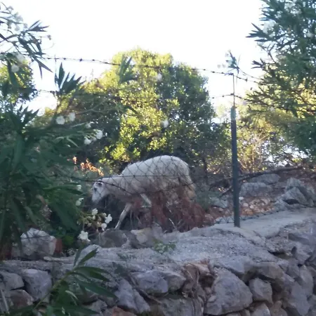 4m Appartement Čunski