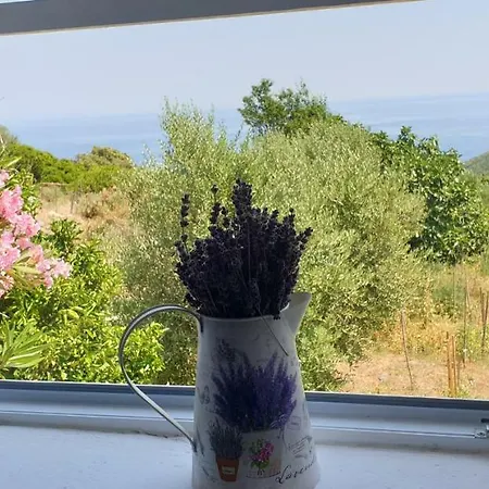 4m Apartman Cunski