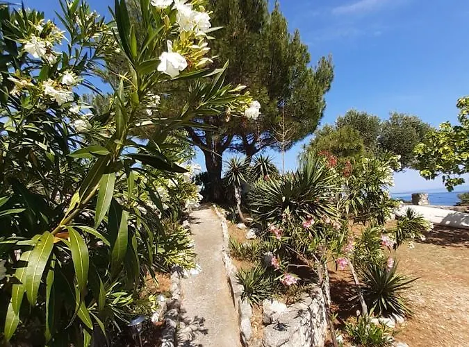 Διαμέρισμα 4m Čunski