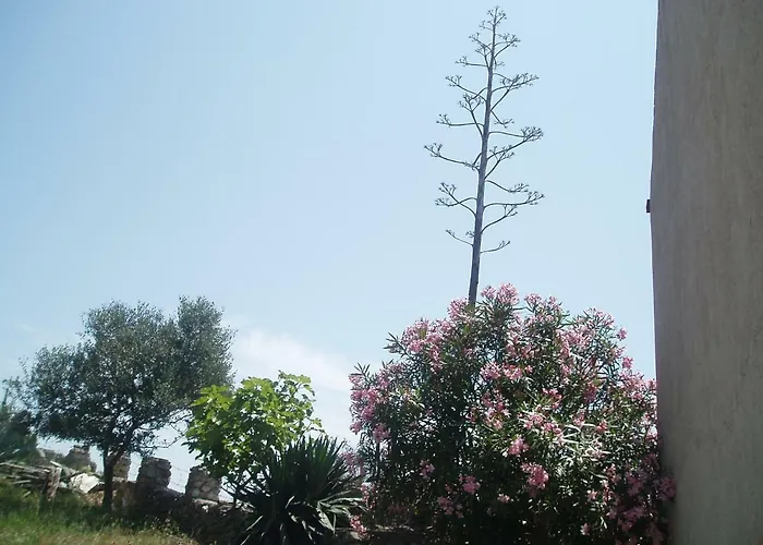 4m Διαμέρισμα *