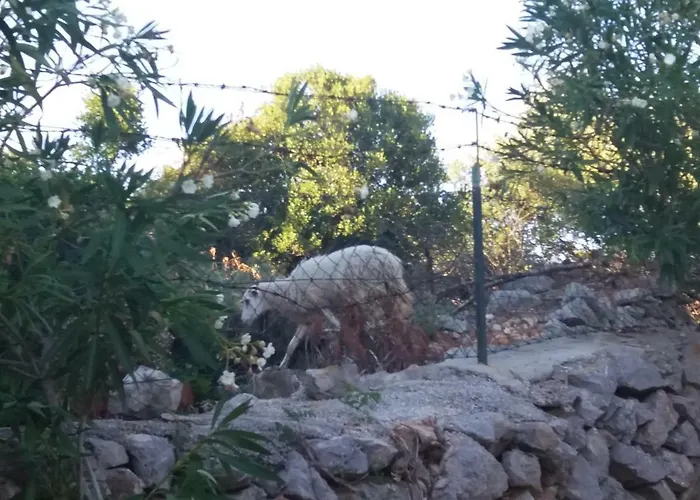 4m Διαμέρισμα Čunski